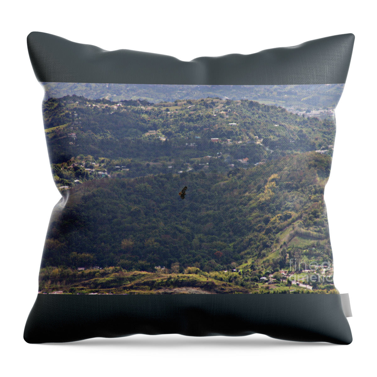 Guaraguao - Throw Pillow
