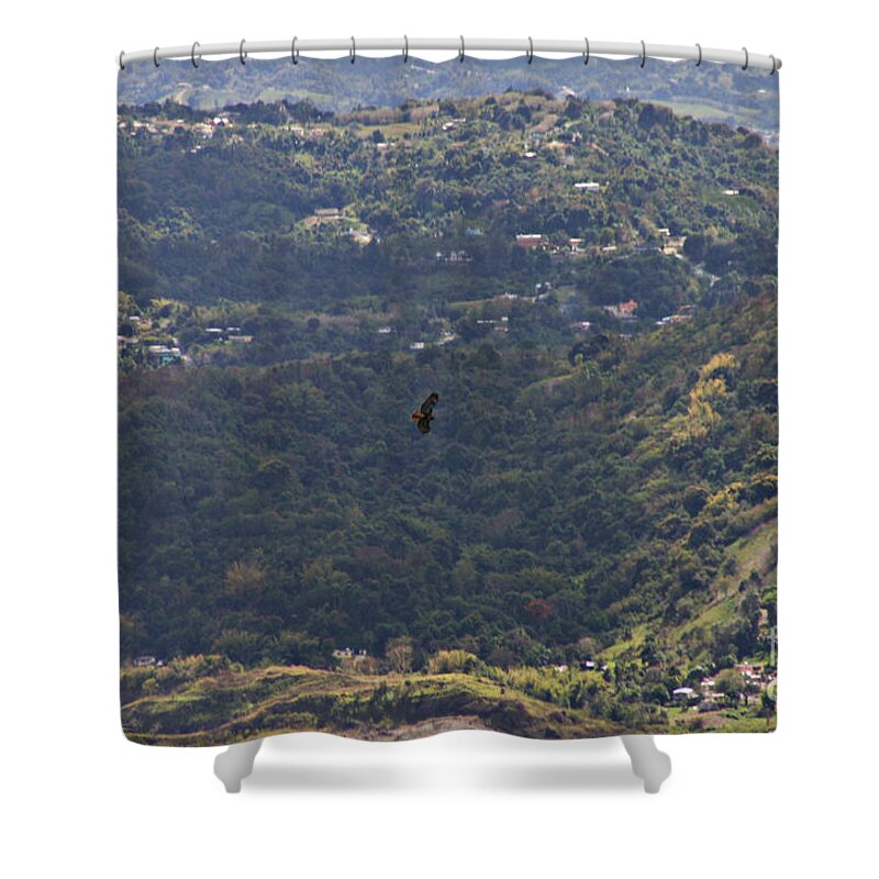Guaraguao - Shower Curtain